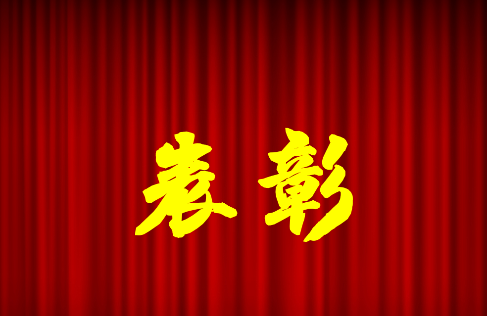 逐光前行、榮耀共鑒 | 公司2024年度表彰來啦！